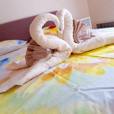 Apartment Jelena ズラティボール エクステリア 写真