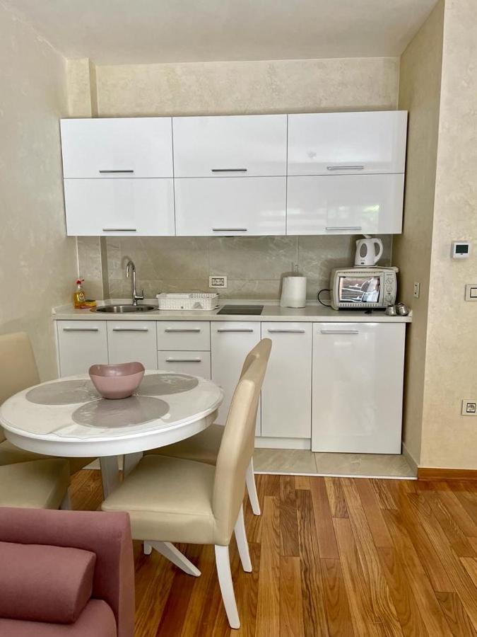 Apartment Jelena ズラティボール エクステリア 写真