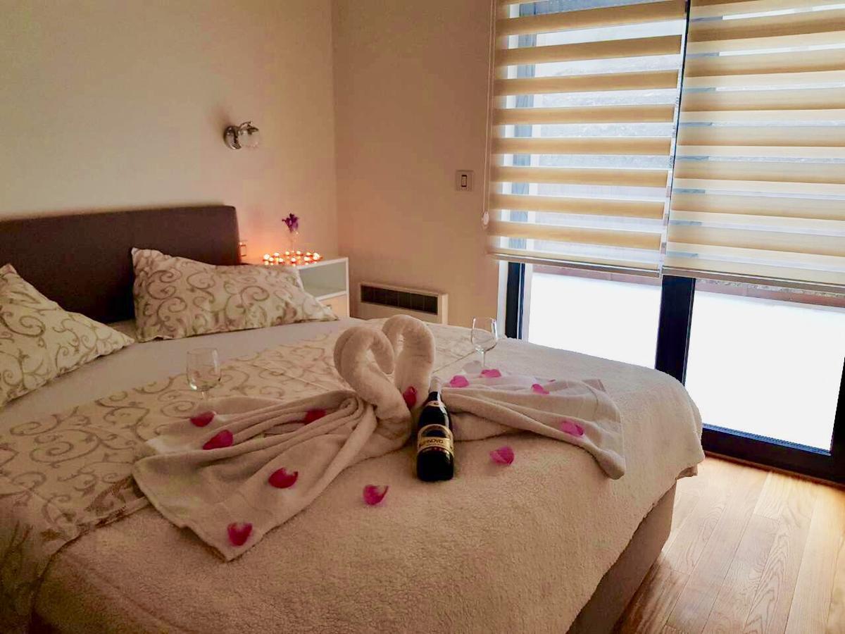 Apartment Jelena ズラティボール エクステリア 写真